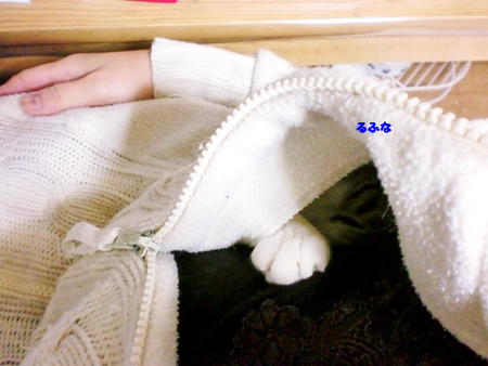 るふな