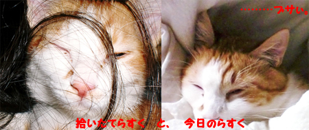 らすく