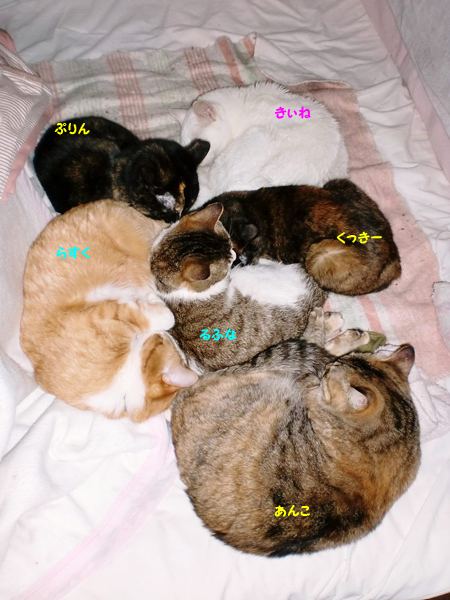 うじゃ