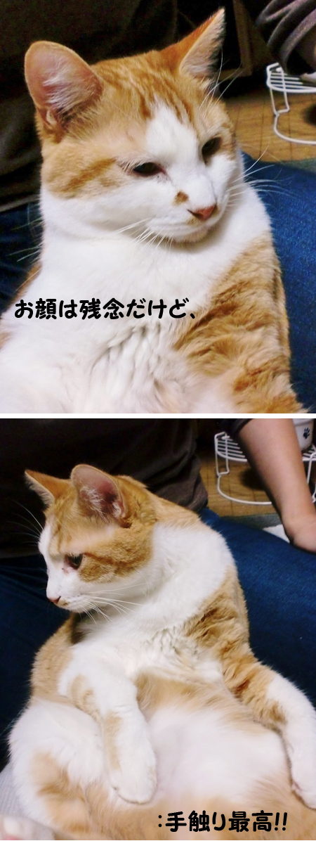 らすく