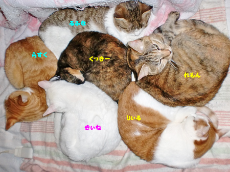 うじゃ