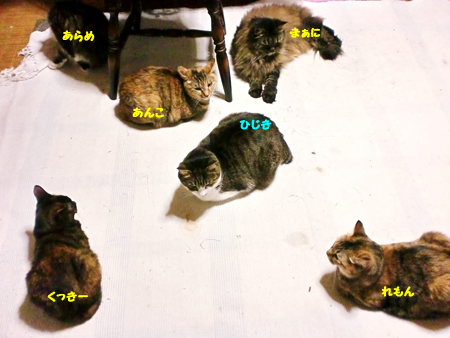 うじゃ