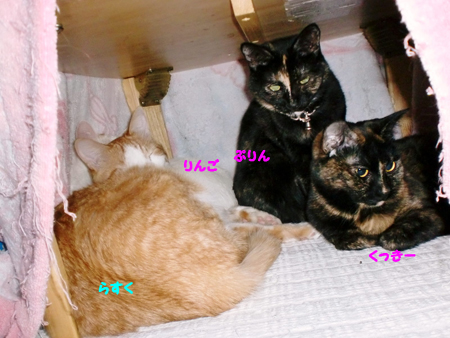 うじゃ