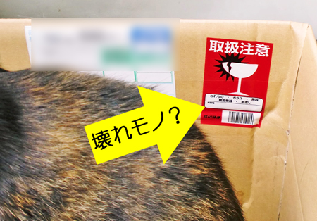 ぷりん