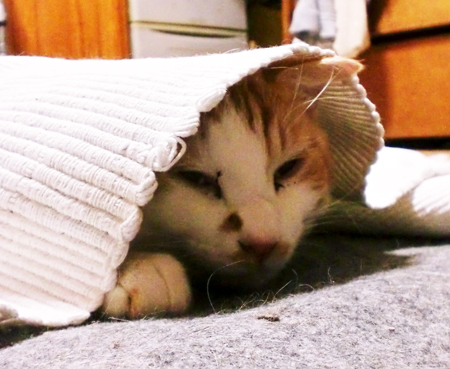 らすく