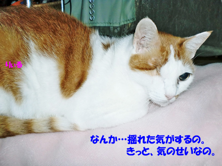 りぃる
