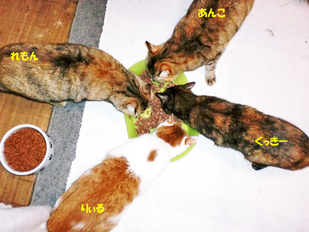 うじゃ