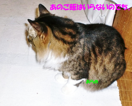 あらめ