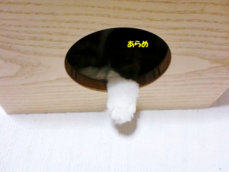 あらめ