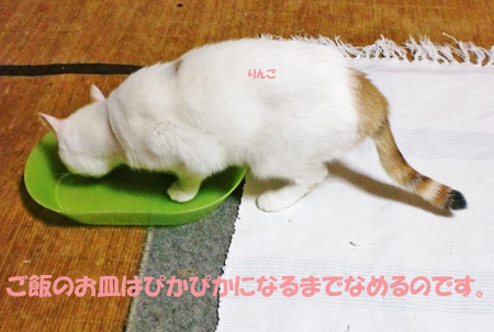 りんご