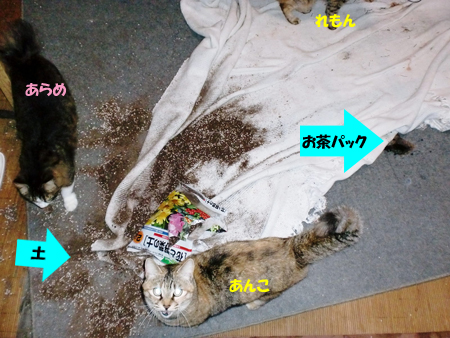 うじゃ