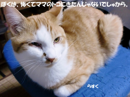 らすく
