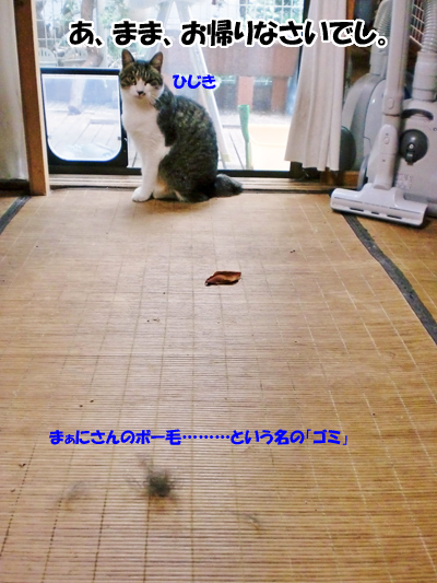 ひじき