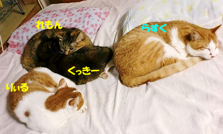 うじゃ