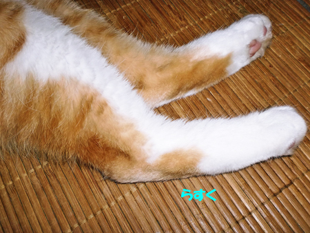 CIMG5708.jpg