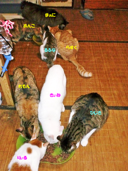 うじゃ