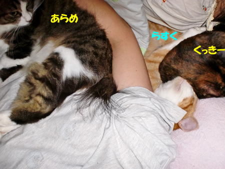 うじゃ
