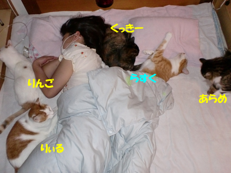 うじゃ
