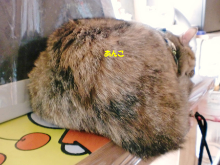 あんこ