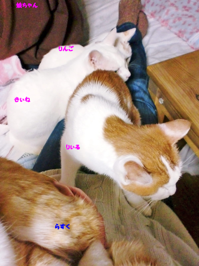 うじゃ