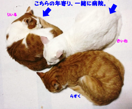 うじゃ