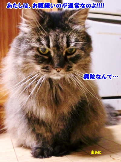 まぁに