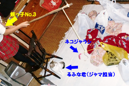 CIMG6597.jpg
