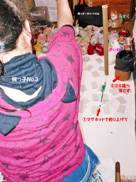 CIMG8432.jpg