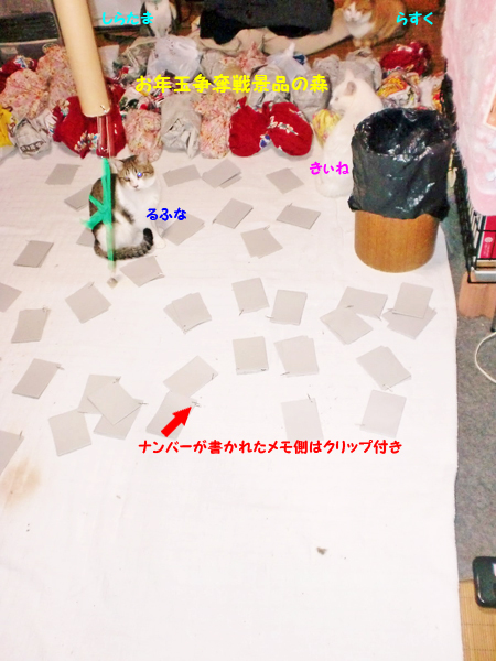 CIMG8433.jpg