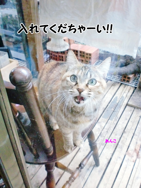 あんこ