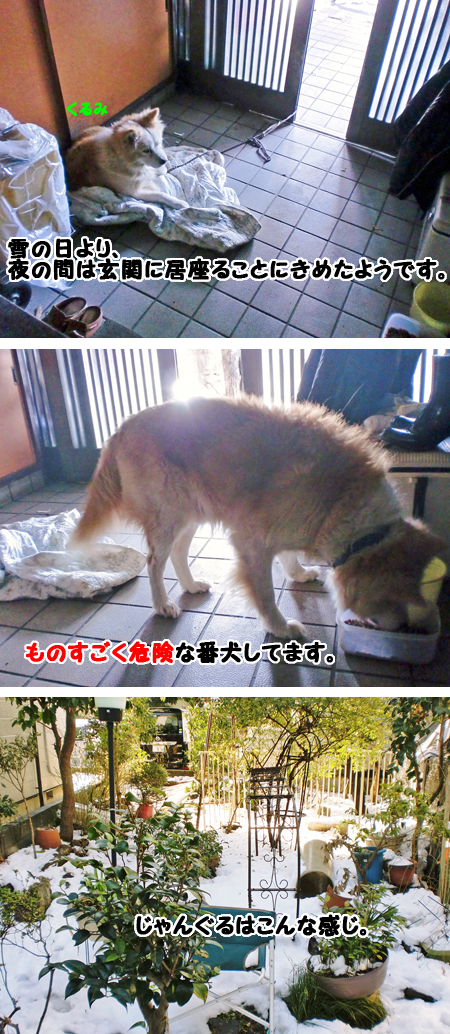 くるみ