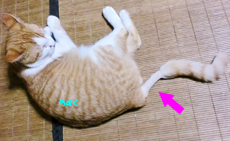 らすく