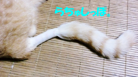 らすく