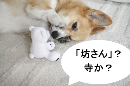 DPP_0147.jpg