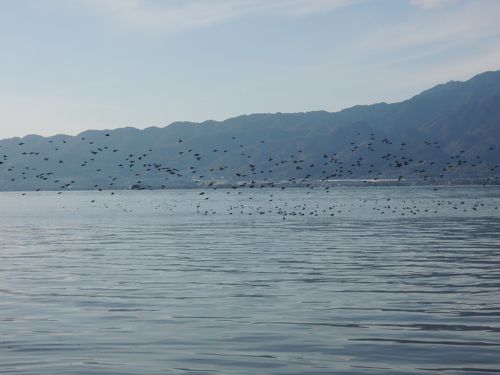 DSCN0488.jpg