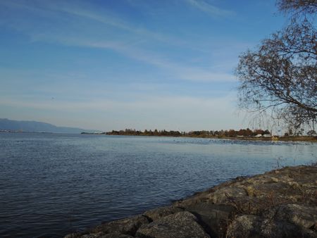 DSCN0515.jpg