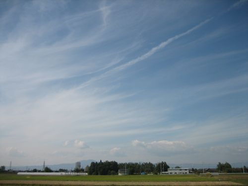 IMG_9124.jpg