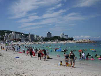 P1100830.jpg