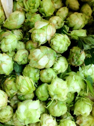 20121002hop.jpg