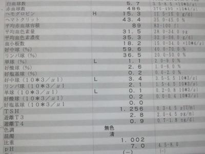 2012-11-24 14.46.52