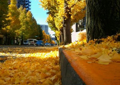 2012-11-27 10.29.51