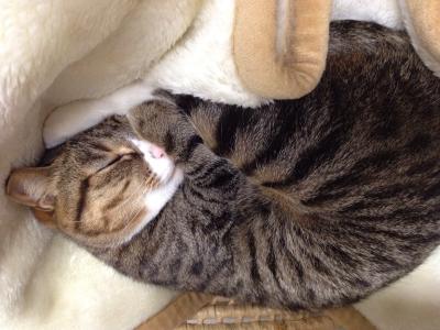 20120425212818.jpg