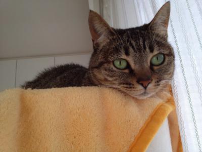 20120505090536.jpg
