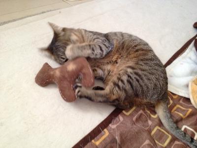 20120506103009.jpg