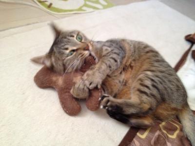 20120506103014.jpg