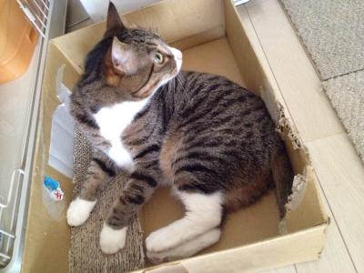 20120506103159.jpg