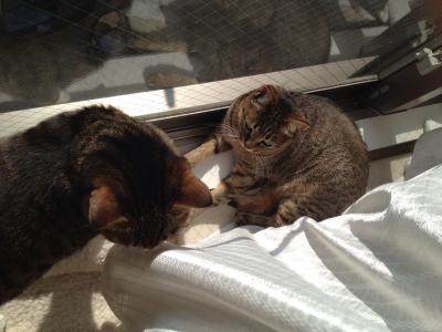 20120514075528.jpg