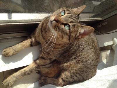 20120514075539.jpg