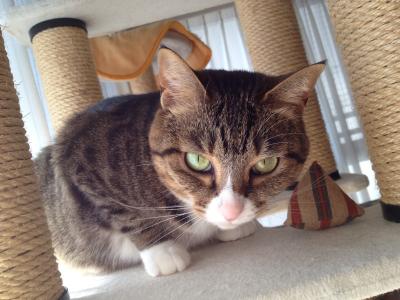 20120514075713.jpg
