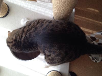 20120514075837.jpg